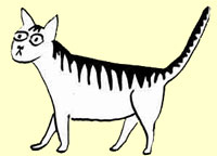 tamtam
